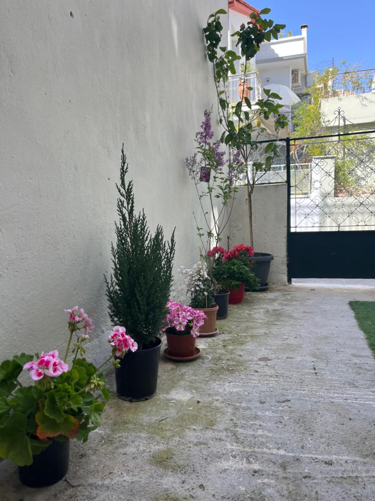 Noa - Designed Garden Studio In The City Center กาลามาตา ภายนอก รูปภาพ